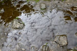 泥　水たまり
