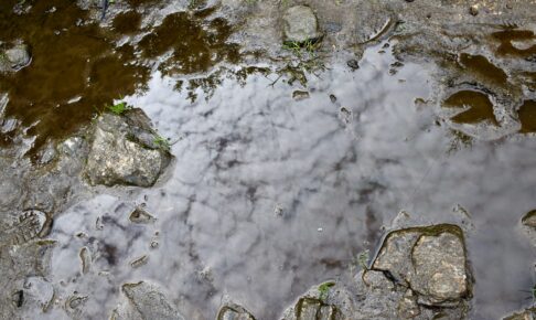 泥　水たまり